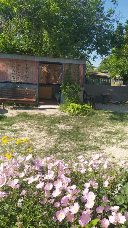 Уютный дом в зеленом дворе