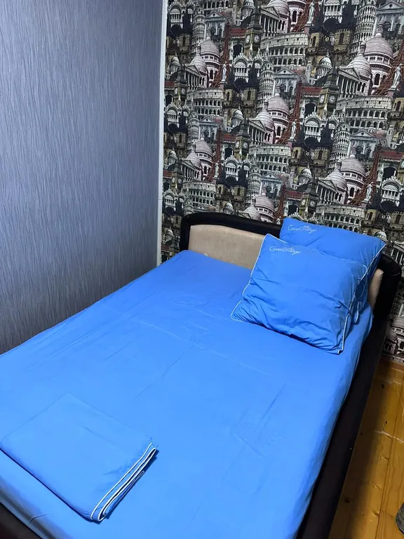Большая квартира в Парке