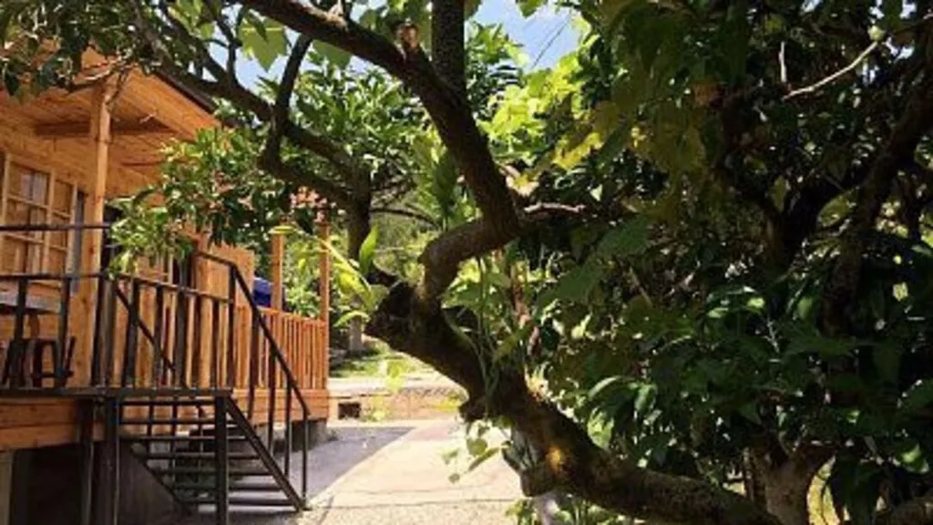 Коттедж Уютный дом — Рапица