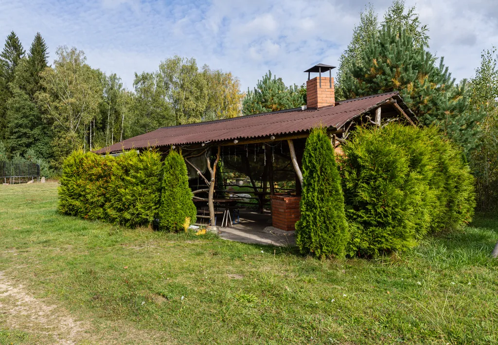 Усадьба Медвежий угол в лесу на берегу озера