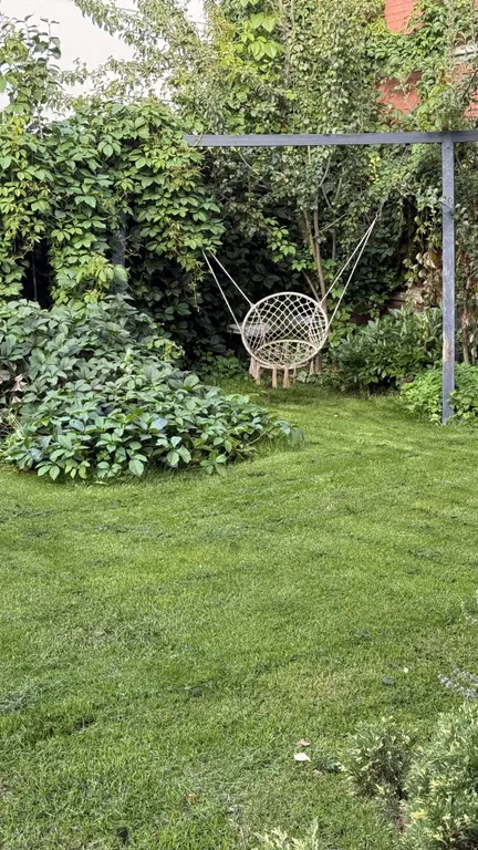 Эксклюзив - дом-сад у главной елки Ярославля, катка Советской площади