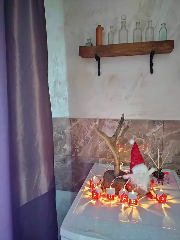 Уникальная Loft квартира в центре с экспонатами 19-20 века