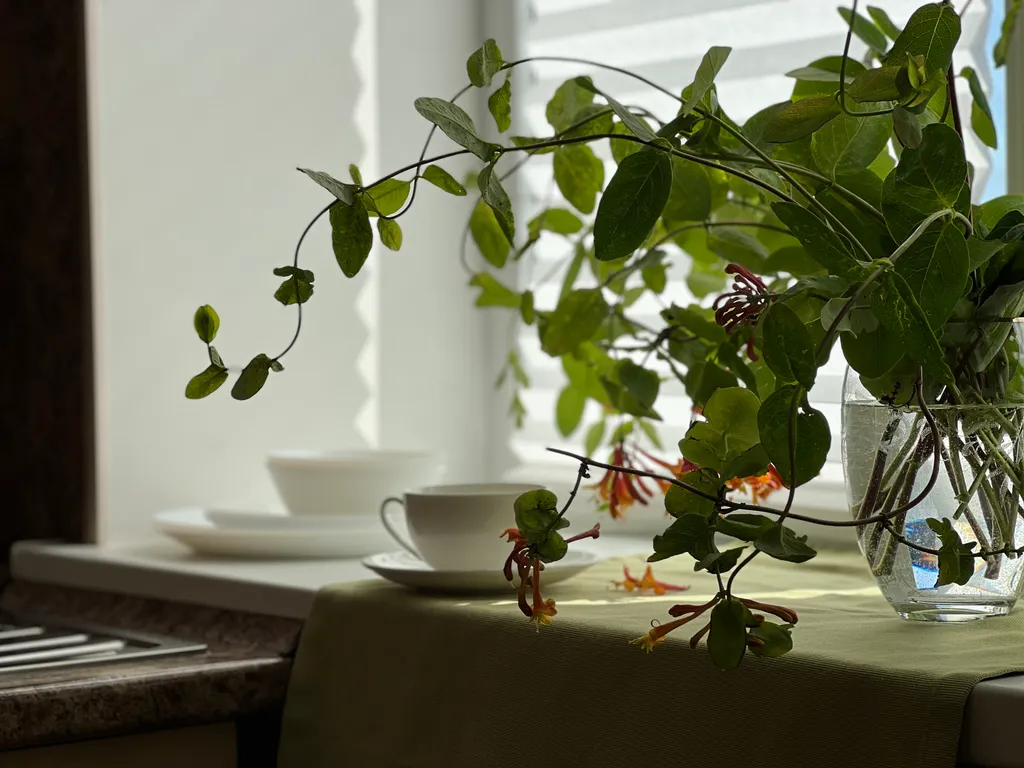 Квартира Квартира Семейный номер с кухней — Анапа