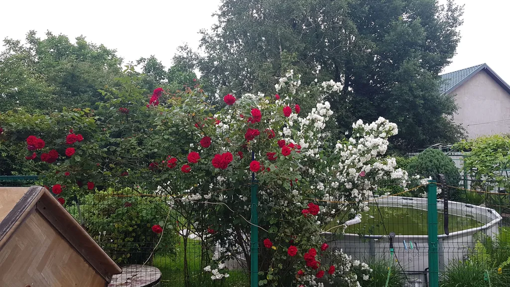 Коттедж Уютный дом в центре города — Калининград