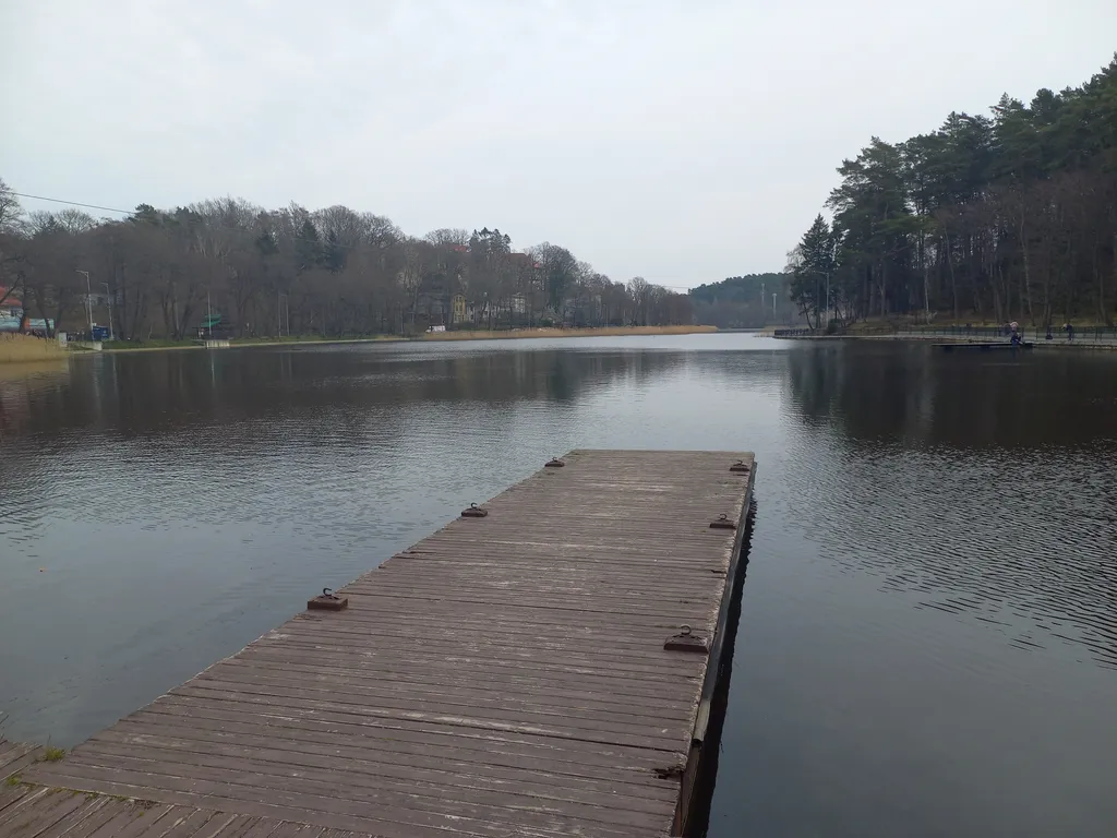 Квартира Апартаменты Александра рядом с сосновым бором и озером — Светлогорск