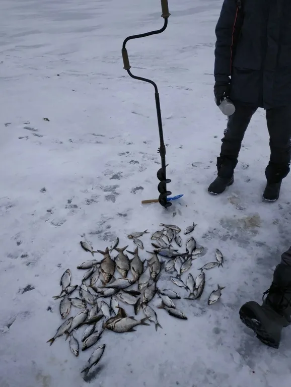 Коттедж Дом с тремя спальнями в турбазе чайка (селигер) — Турбаза Чайка