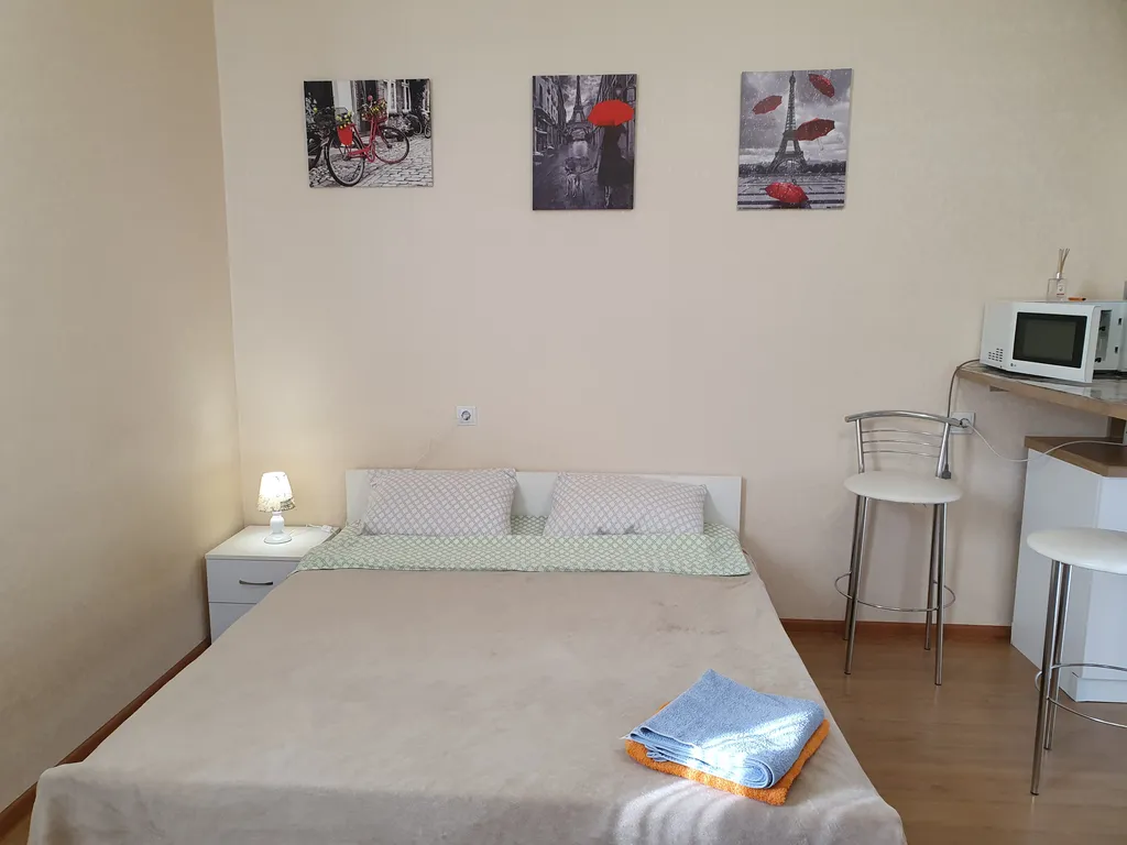 Уютная студия в самом центре города