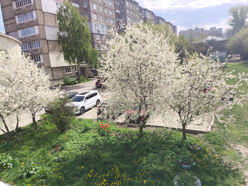 Ваша МЕЧТА в самом сердце Мурома