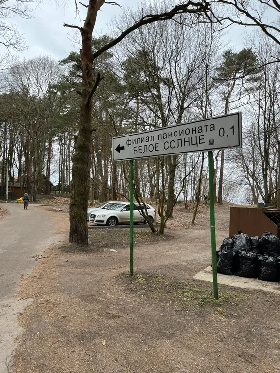 Студия у озера Тихое