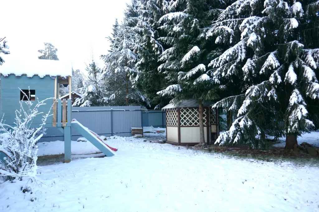 Загородный дом- еловый шёпот