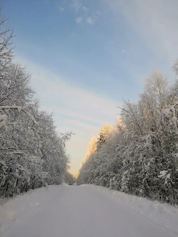 Дом Ярвиранта на берегу озера