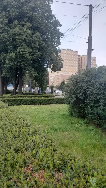 Квартира 1-комнатная Квартира — Санкт-Петербург