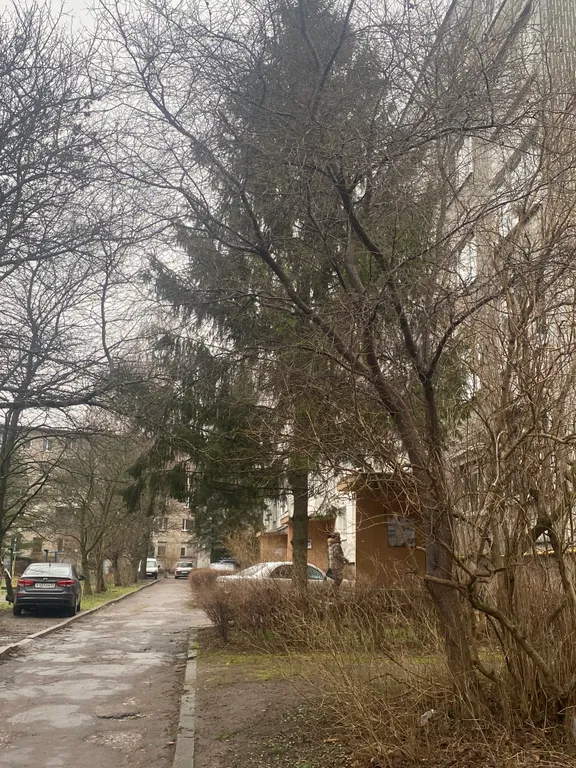 Квартира Квартира в центре города — Калининград