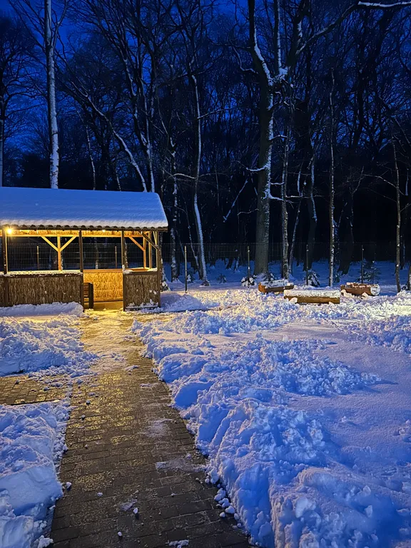 Дом в лесу с баней и бассейном