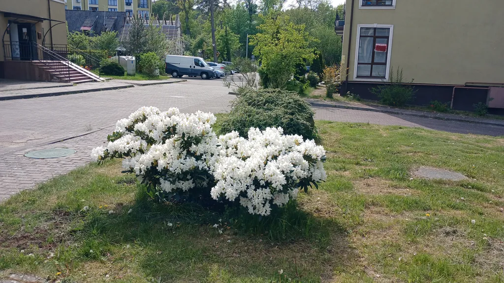 Квартира Супер-апартаменты Морской бриз на 1 линии у моря в сосновом бору — Светлогорск