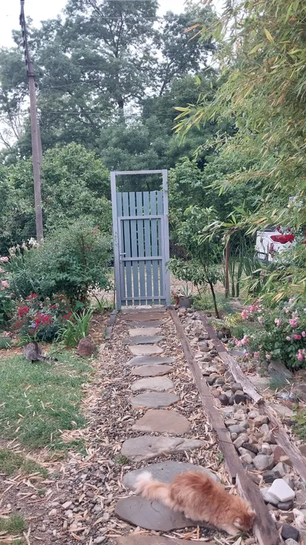 Домик с удобствами и кухней Персиковая поляна