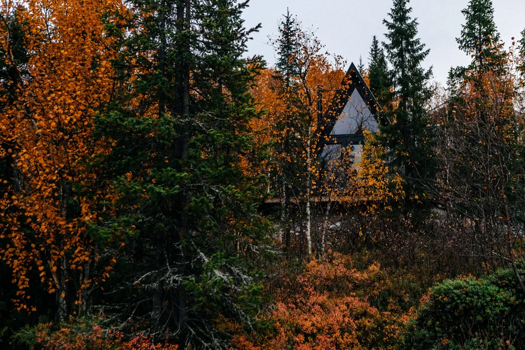 Уютный домик с сауной на берегу реки Dacha Winehouse