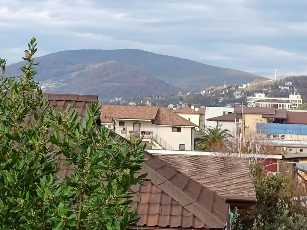 Квартира Квартира у самого моря — Адлер