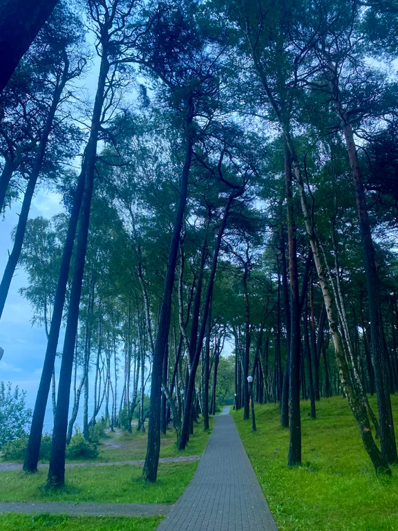 Новая уютная квартира на берегу моря