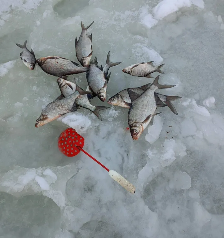 Дом с видом на Селигер