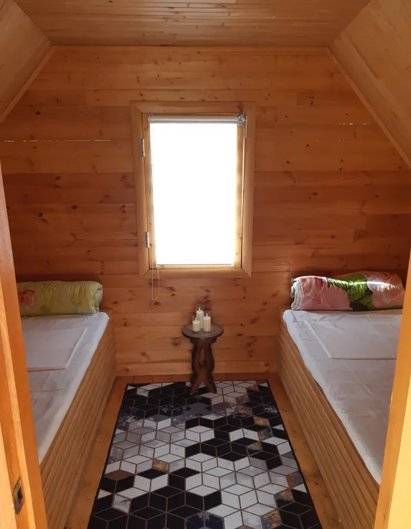 Оздоровительный сон на пчелах