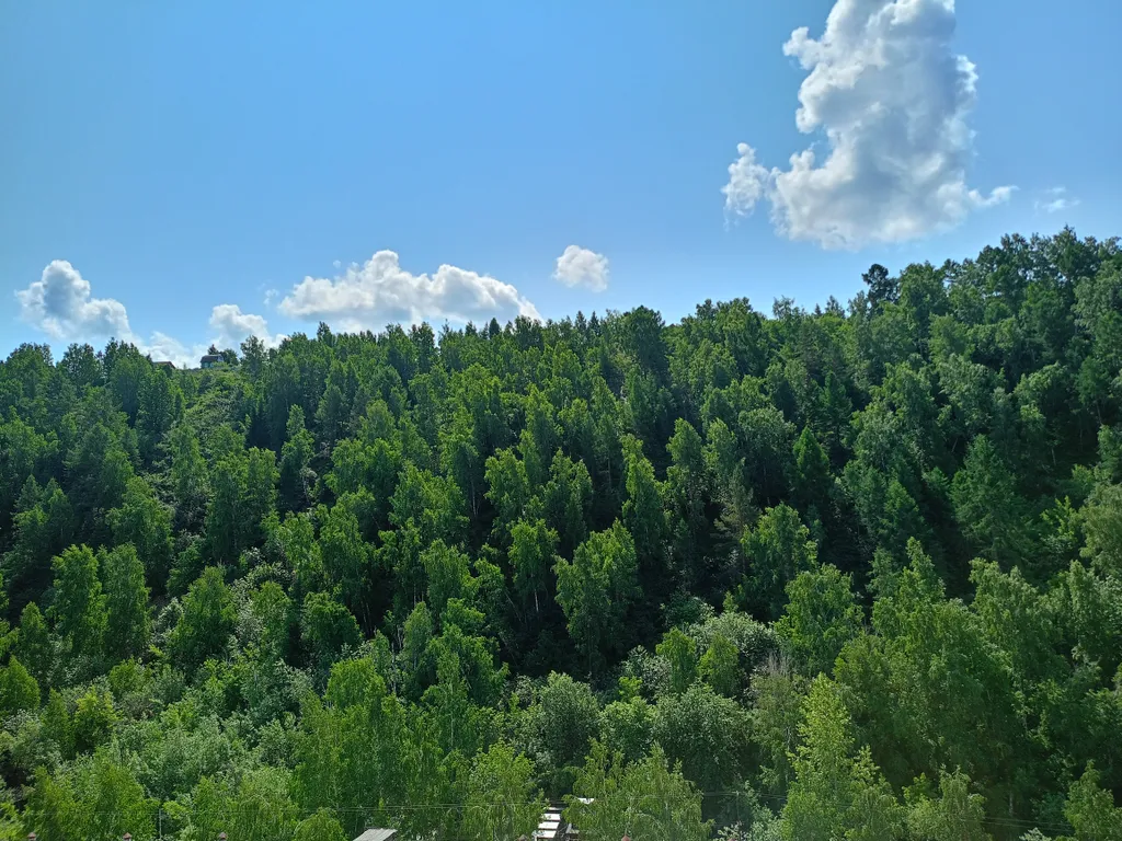 Новая студия вблизи Столбов и зоопарка