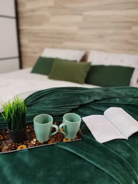 Дизайнерская 2-комнатная квартира в центре