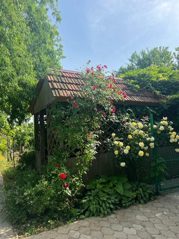 С бассейном рядом с морем