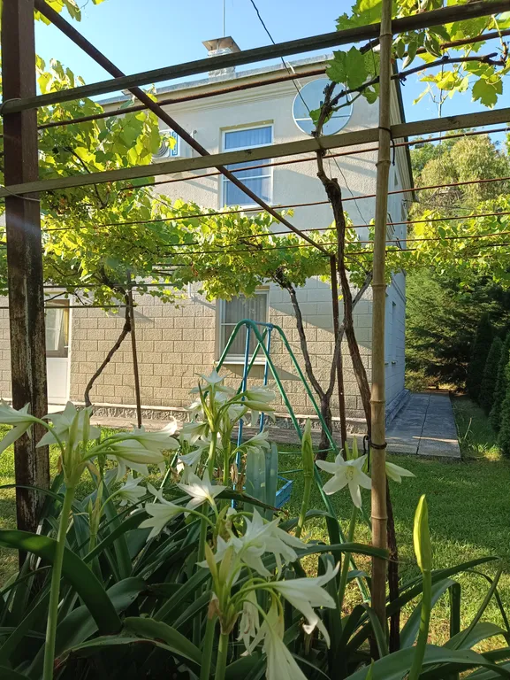 Вилла с парком под ключ