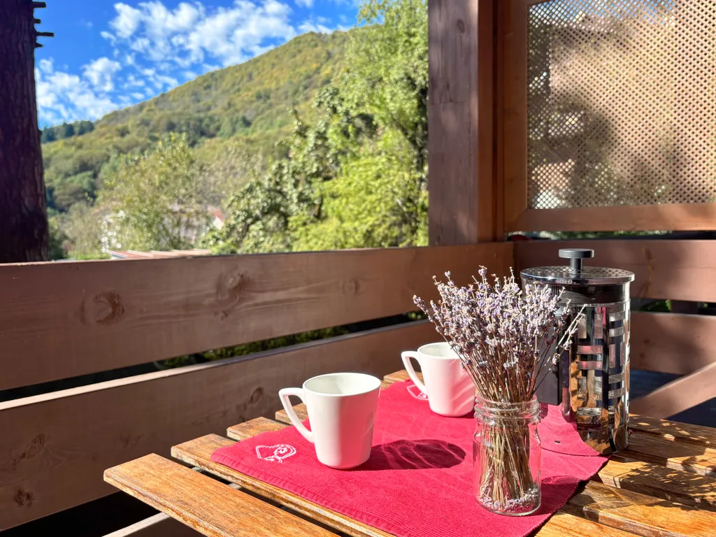 Квартира отдельной спальней и балконом в центре Поляны