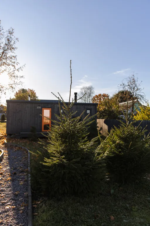 Лиса в шалаше в Тайцах