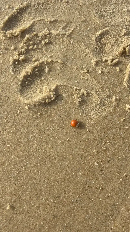 Домик с видом на море