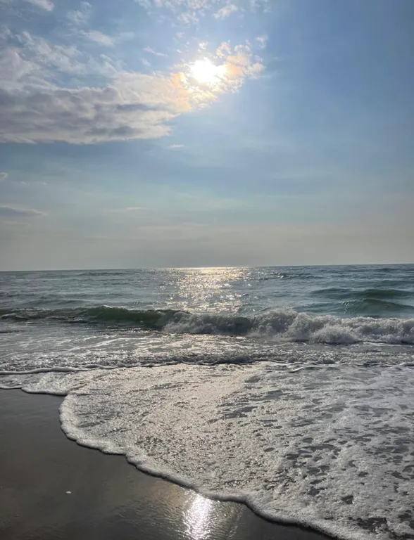 Квартира Апартаменты Rauschen Олимп — Светлогорск