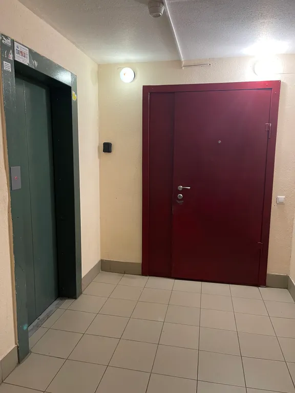 Мансарда с видом на башню Лахта центр