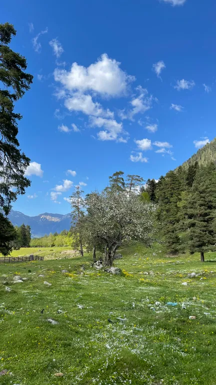 Уютное шале в горах