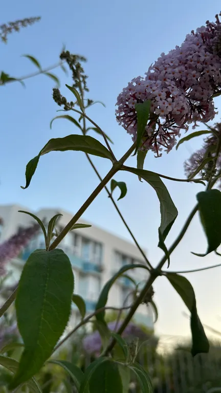 Квартира Апартаменты с видом на море — Севастополь