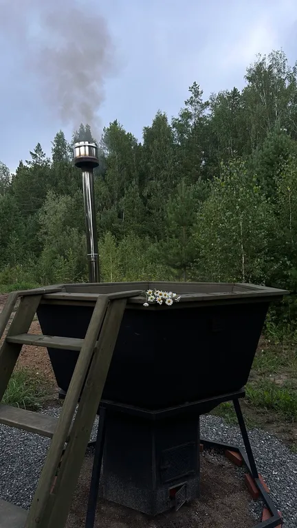 Темный домик на опушке леса