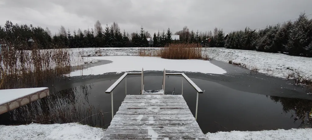 Уединенная дача с прудом и баней у Псковского озера