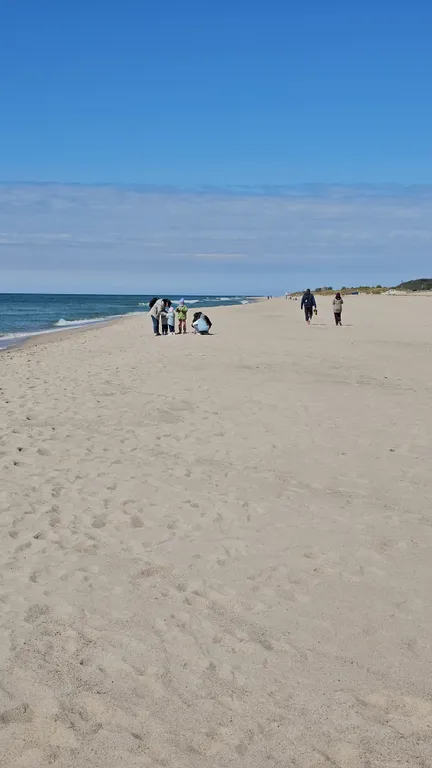 Квартира Квартира Пионерский маяк — Пионерский