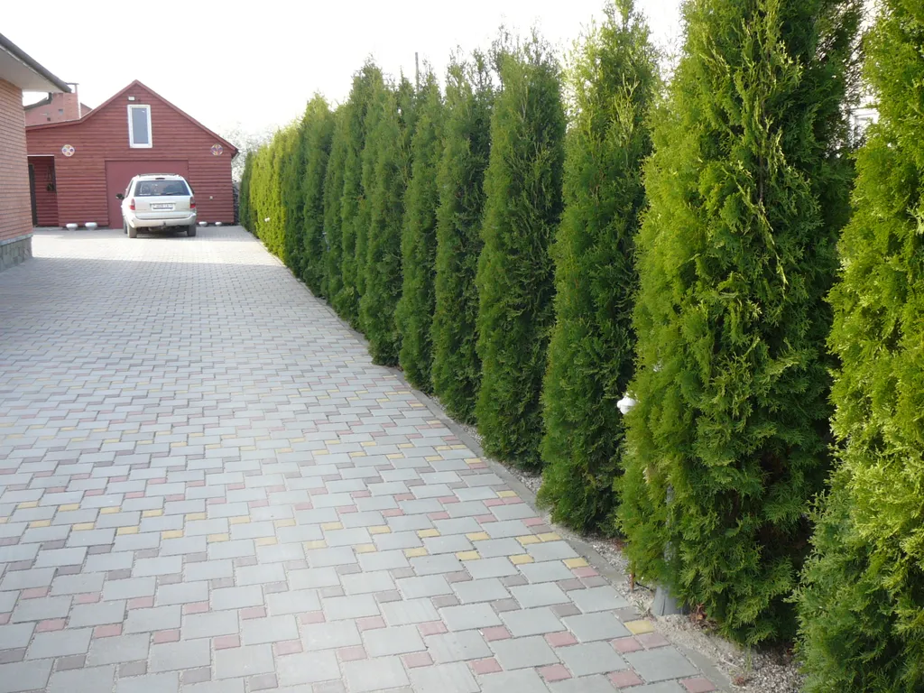 Усадьба Светлые росы