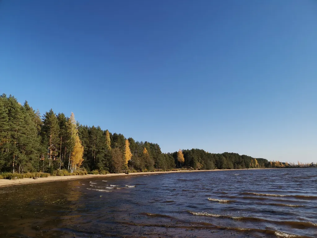Коттедж Дизайнерский коттедж на берегу озера Волго на Селигере — Турбаза Чайка