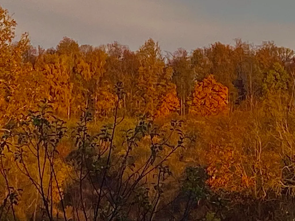 Уютный домик с видом на музей