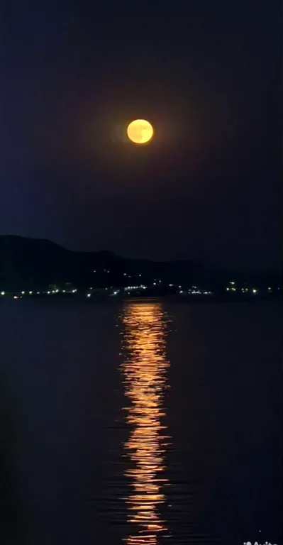 Светлая квартира с видом на реку