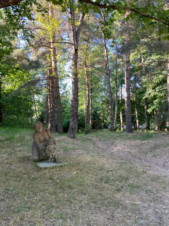 Домик целиком в лесу на берегу залива