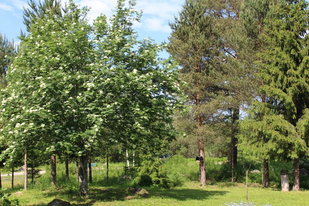 Коттедж Тёплый коттедж с баней на очень большой уединённой территории — Кротово