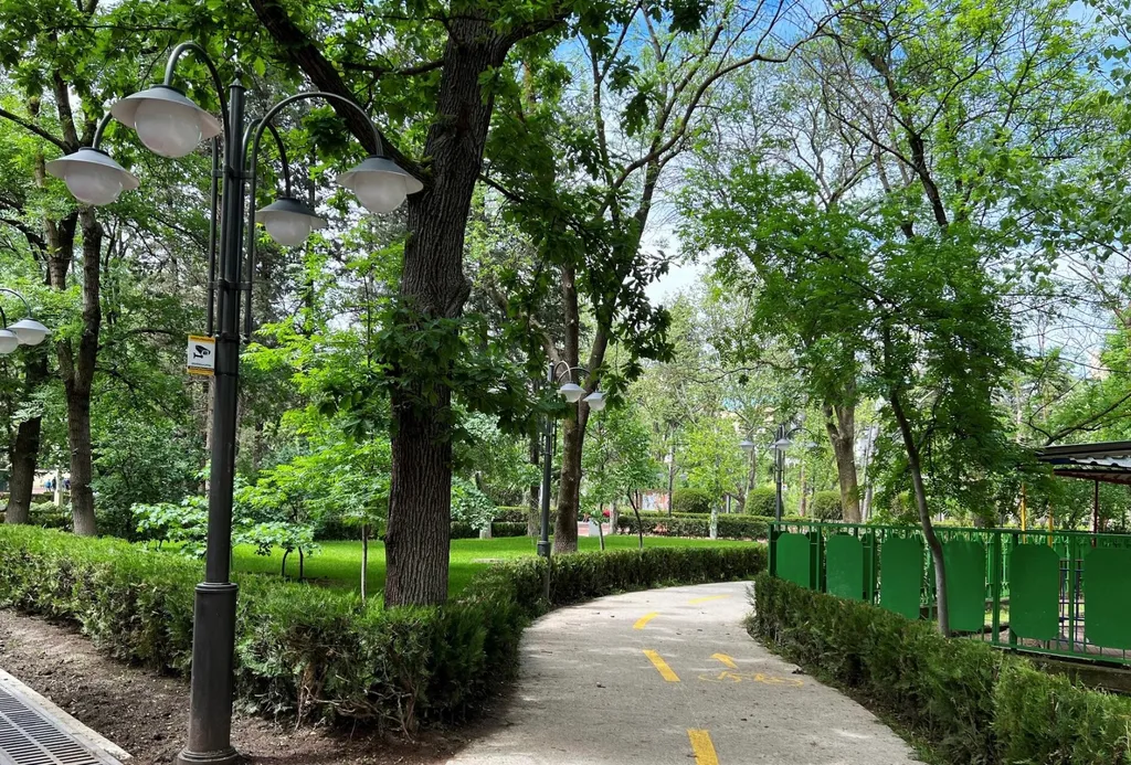 Дом, милый дом в центре города, Район Ваке