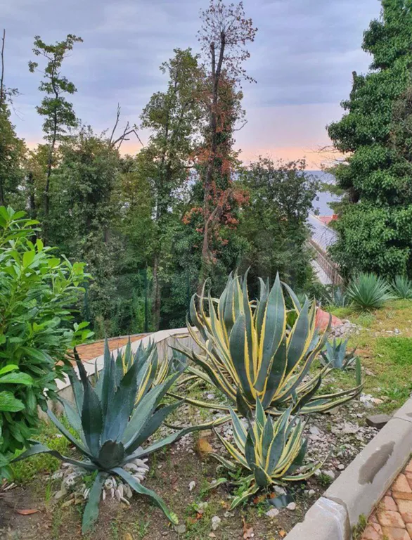 Апартамент с собственным пляжем