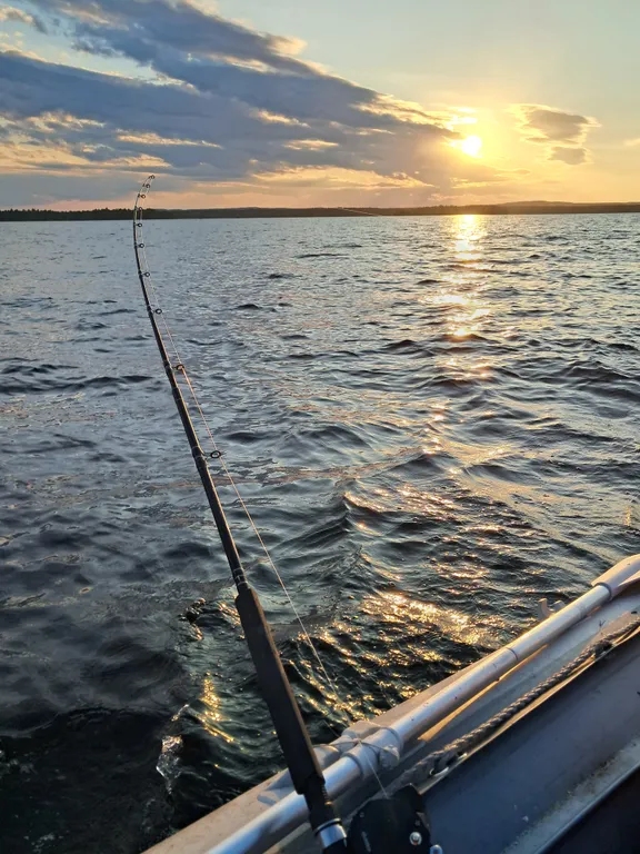 Дом в Карелии на берегу Онежского озера