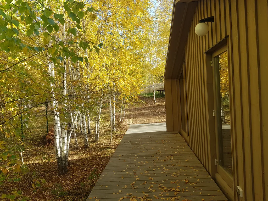 Коттедж Очень уютный, тёплый и красивый дом с витражным остеклением — Введенская Слобода