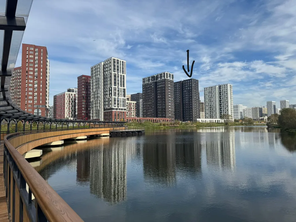 Joy прокшинский